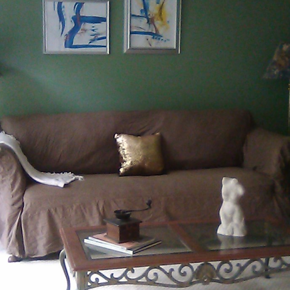 Brown furniture Sofa Slipcover